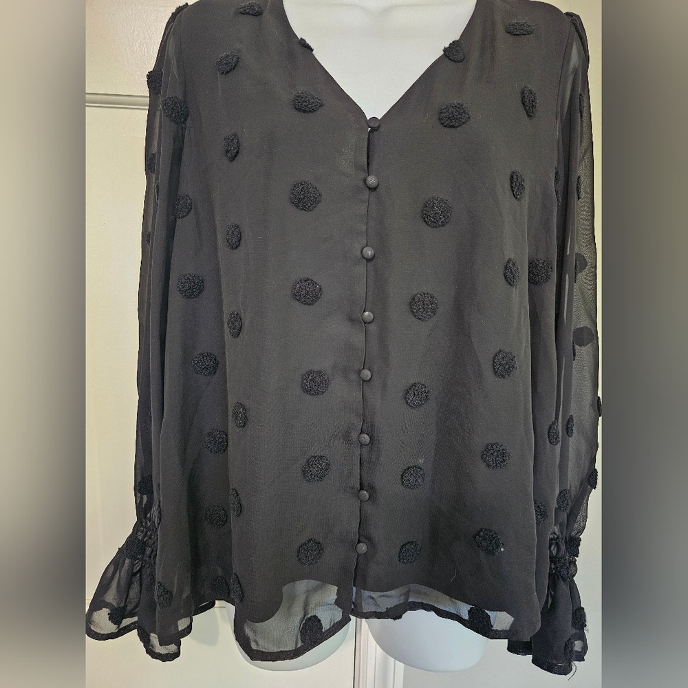 Blu Pepper Black Sheer Blouse with Polka Dots - Picture 2 of 5